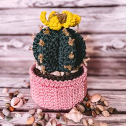 easter basket cactus crochet pattern pdf, basket with lid, central table ornament, fireplace decoration, digital instant