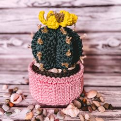Easter basket cactus crochet pattern PDF, basket with lid, central table ornament, fireplace decoration, digital instant
