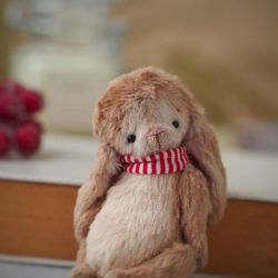 Miniature teddy bunny stuffed cute toy