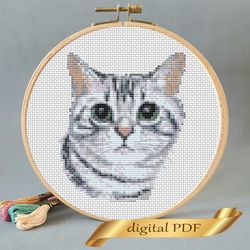 cat pattern pdf cross stitch, pets embroidery diy