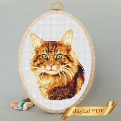 cat pattern pdf cross stitch, pets embroidery diy