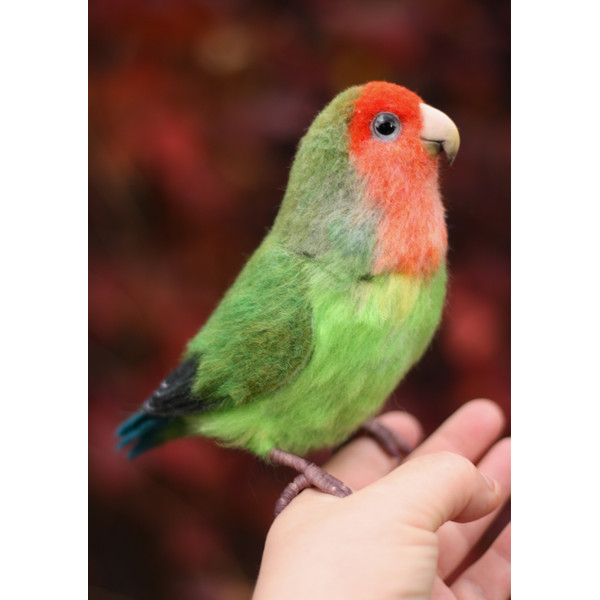Felted red-cheeked lovebird_Realistic toy bird parrot_Needle felting art doll animal (5) копия.jpg