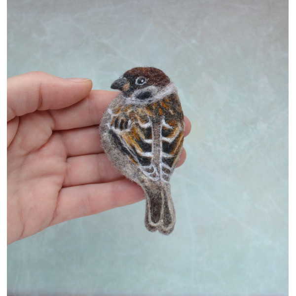 Needle felted sparrow bird brooch for women (6).JPG