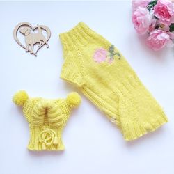 Fluffy dog set for a small dog. Dog sweater and dog hat. Cute pet clothes.