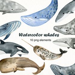 watercolor whales clipart.