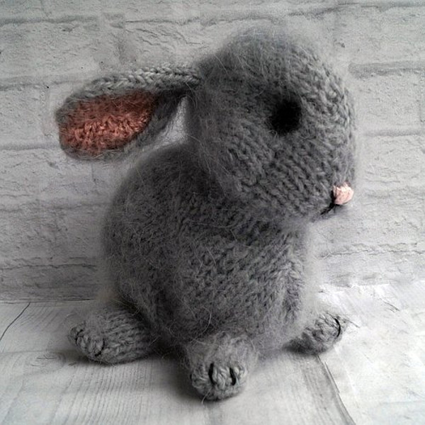 Dutch Bunny Rabbit