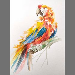 Ara Macao Painting Parrot Painting Red Bird Original Watercolor Painting