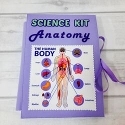Full set of realistic (skeleton and organs) Human anatomy, Medical model, Human body for kids, Science Montessori