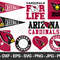 Arizona Cardinals S002.jpg