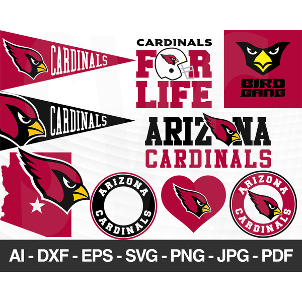 Arizona Cardinals S002.jpg