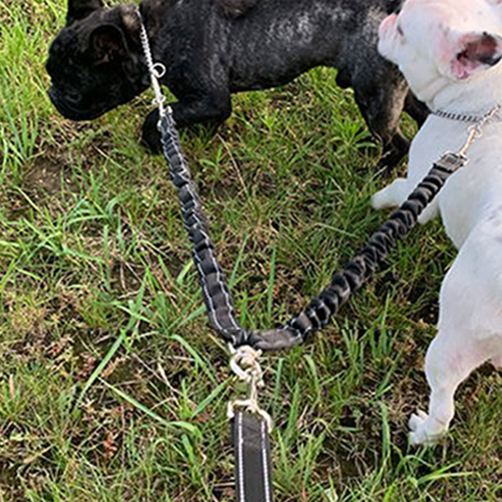 2_way_leash_handle_02.jpg