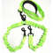 2_way_elastic_leash_green.jpg