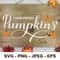 Pumpkin07--Mockup2.jpg