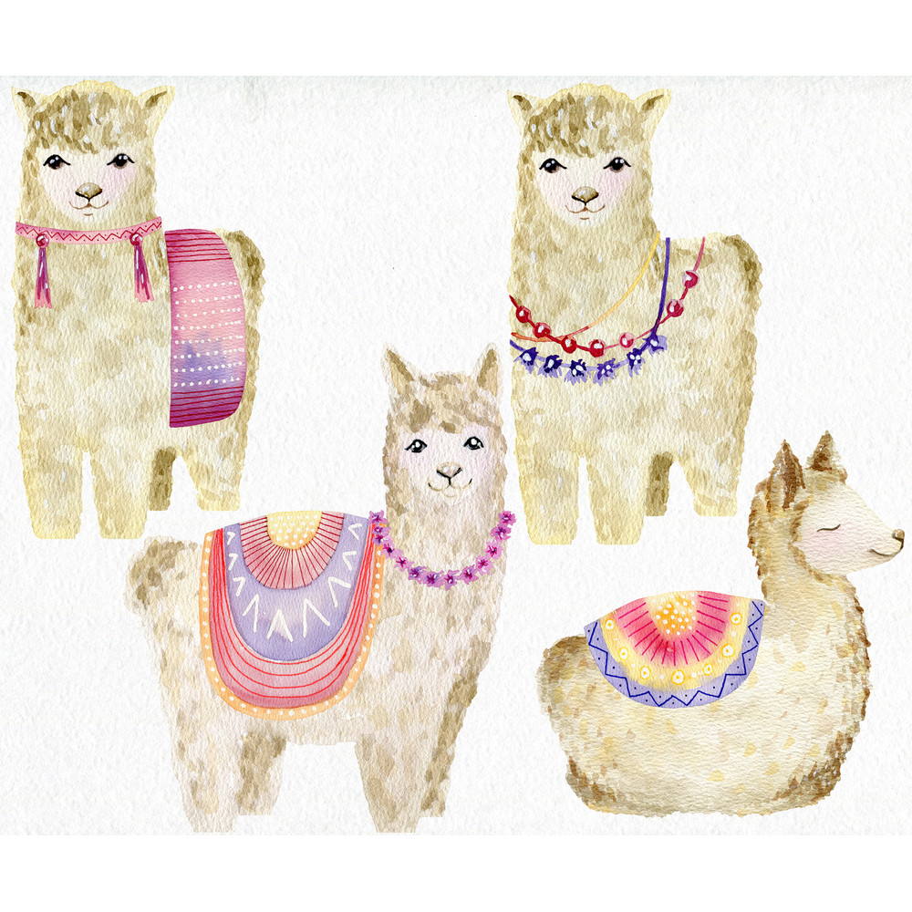 lama2.jpg