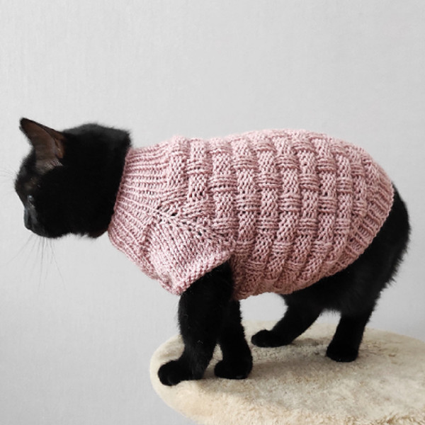 buy-cat-sweater-6.png