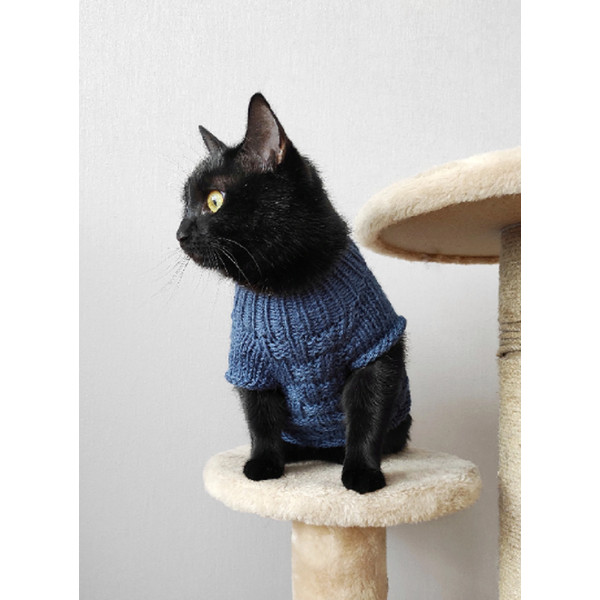buy-cat-sweater-4.png