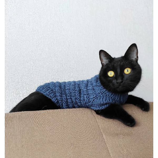 buy-cat-sweater-5.png