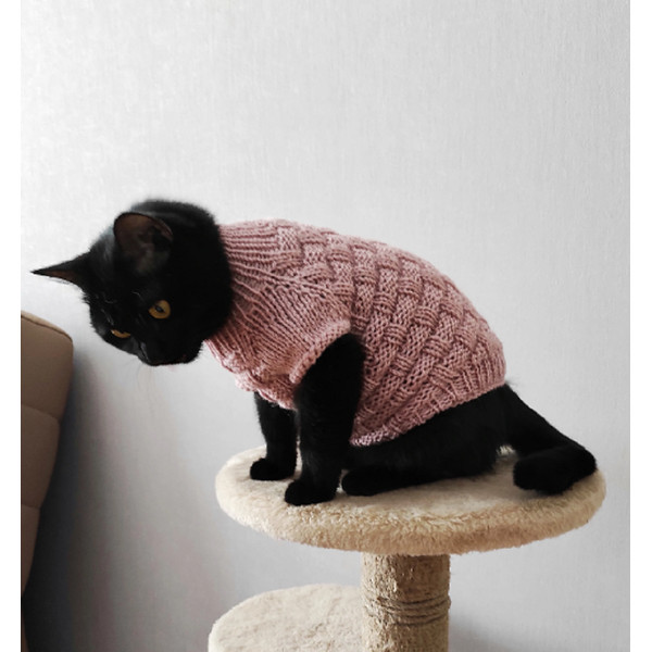 buy-cat-sweater-7.png