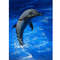 Dolphin dancing11.jpg