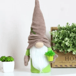 Gnome with houseplant cactus