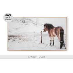 Samsung Frame TV Art Download 4K, Samsung Frame TV Art Horses, Frame TV art farmhouse, Frame TV art winter | 848