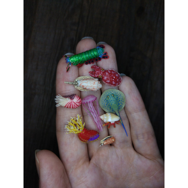 miniature-sea-molluscs-for-diorama-1.jpg