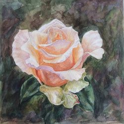 "Peach Rose" Flower Original Wall Art Painting Watercolor Artwork, 17x17cm.