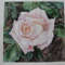 "Violet Rose" Flower Original Wall Art Painting Watercolor Artwork