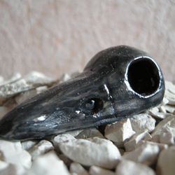 Ceramic shrimp house. Raven Crow Skull