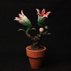 Monster flower in a small pot, Toothy, Demogorgon
