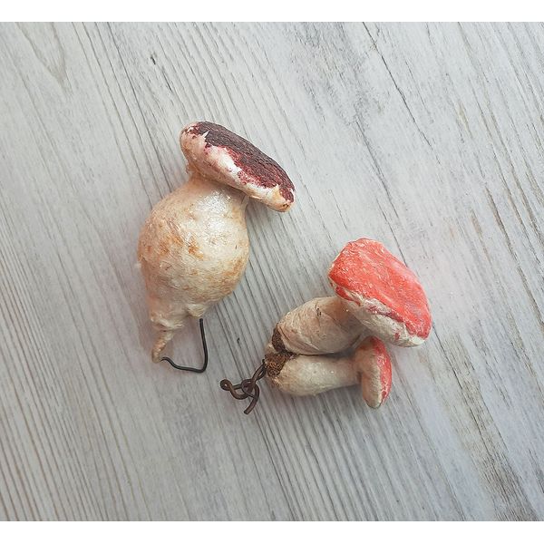mushrooms6.jpg