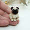 miniature-pug