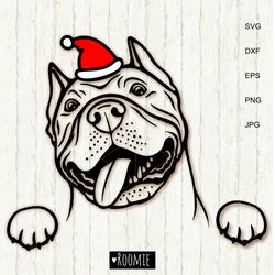 christmas american pit bull terrier with santa hat svg, pitbull lover gift, pit bull shirt design cut file /68
