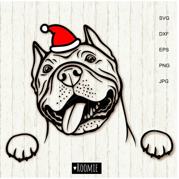 Christmas-American-pit-bull-terrier-with-Santa-hat-.jpg