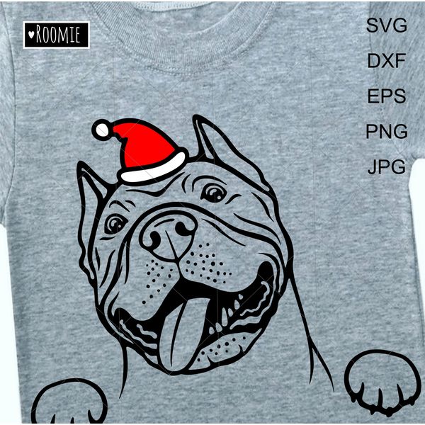 Christmas-American-pit-bull-terrier-with-Santa-hat-1.jpg