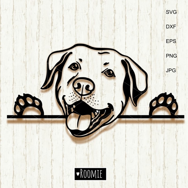 Labrador Retriever SVG, Peeking Dog Svg, Yellow Lab Lover Gi | Inspire ...