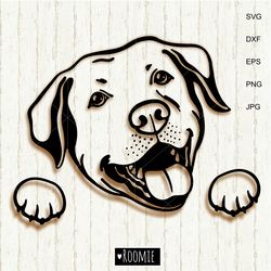 Labrador Retriever SVG, Yellow Lab Lover Gift, Peeking Dog Svg, Dog Mom Dad Labrador Shirt Cut file Cricut Vinyl /40
