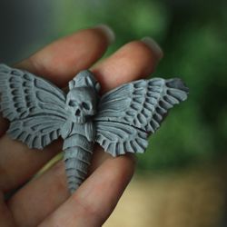 Small gray hawk moth with a skull