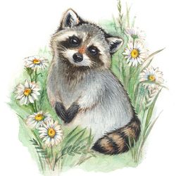 Raccoon print, Raccoon painting, Raccoon watercolor, Cute animals prints
