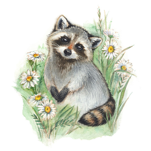Raccoon-watercolor-print .jpg