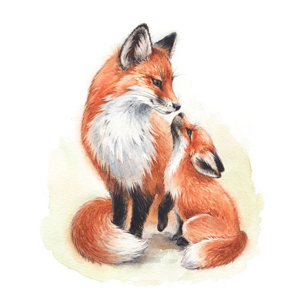 Fox-watercolor-print.jpg