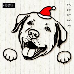 Christmas Labrador Retriever With Santa Hat SVG, Yellow Lab Lover Gift, Dog Mom Dad, Labrador Shirt Cut file Cricut /69