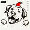 Christmas-Labrador-retriever-with-Santa-hat-.jpg