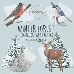 Winter forest clipart, PNG hand painted clipart, animal clipart, Christmas clipart, New Year clipart, birds clipart
