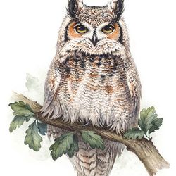 Owl watercolor painting, owl watercolor print, owl art print