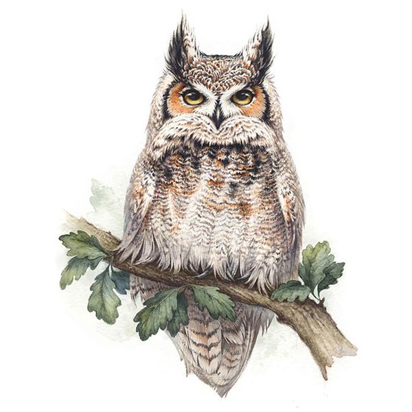 owl-watercolor-print.jpg