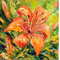 Lily Flower Painting.jpg