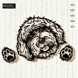 labradoodle svg, golden doodle svg, poodle peeking dog shirt design car decal clipart vector cut file cricut vinyl /48