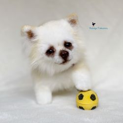 custom order Chihuahua realistic puppy