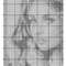 Field of the scarecrow bw chart28.jpg